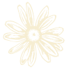 Icons-17 Icons-17